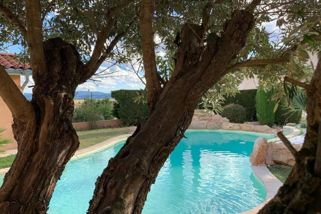 Villa Des Oliviers Avec Piscine Chassagny Dış mekan fotoğraf